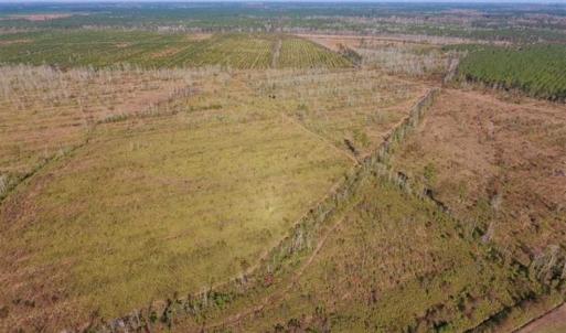 Photo of UNDER CONTRACT!!  100 Acres of Farmland, Timberland, and Hunting Land For Sale in Jones County NC!
