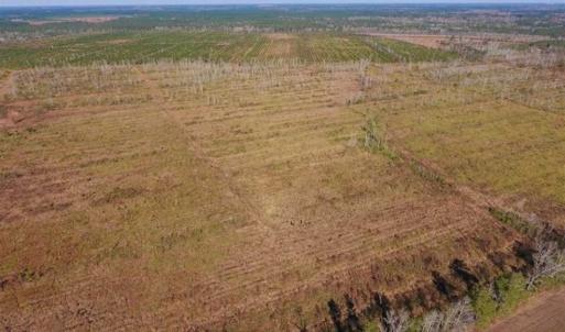 Photo of UNDER CONTRACT!!  100 Acres of Farmland, Timberland, and Hunting Land For Sale in Jones County NC!