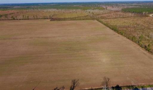 Photo of UNDER CONTRACT!!  100 Acres of Farmland, Timberland, and Hunting Land For Sale in Jones County NC!
