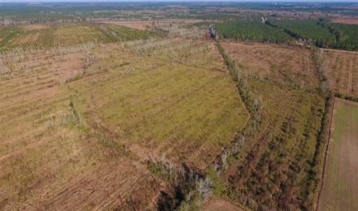 Photo of UNDER CONTRACT!!  100 Acres of Farmland, Timberland, and Hunting Land For Sale in Jones County NC!
