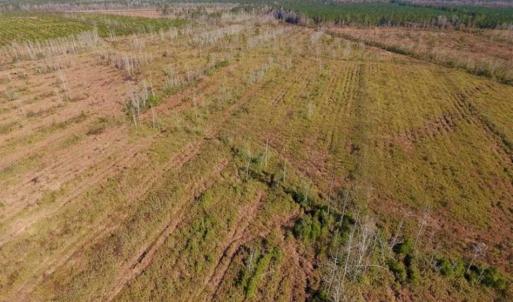 Photo of UNDER CONTRACT!!  100 Acres of Farmland, Timberland, and Hunting Land For Sale in Jones County NC!
