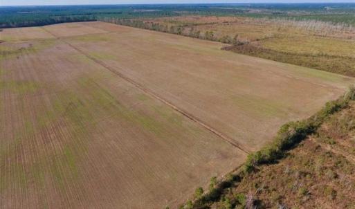 Photo of UNDER CONTRACT!!  100 Acres of Farmland, Timberland, and Hunting Land For Sale in Jones County NC!
