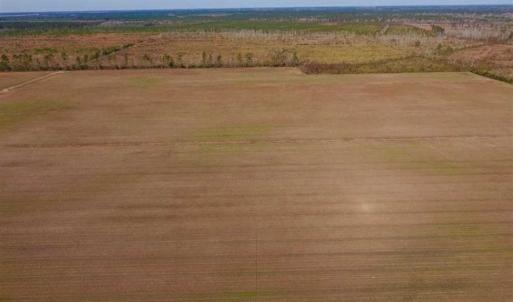 Photo of UNDER CONTRACT!!  100 Acres of Farmland, Timberland, and Hunting Land For Sale in Jones County NC!