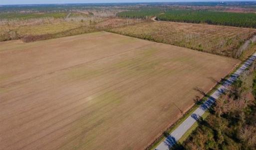 Photo of UNDER CONTRACT!!  100 Acres of Farmland, Timberland, and Hunting Land For Sale in Jones County NC!