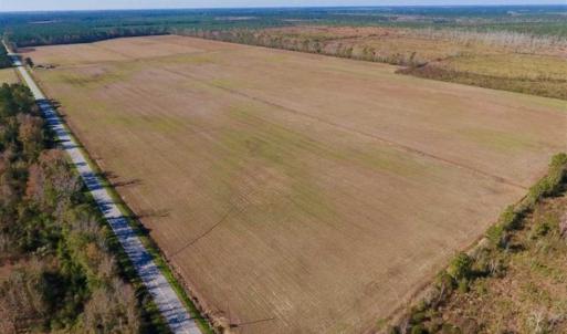 Photo of UNDER CONTRACT!!  100 Acres of Farmland, Timberland, and Hunting Land For Sale in Jones County NC!
