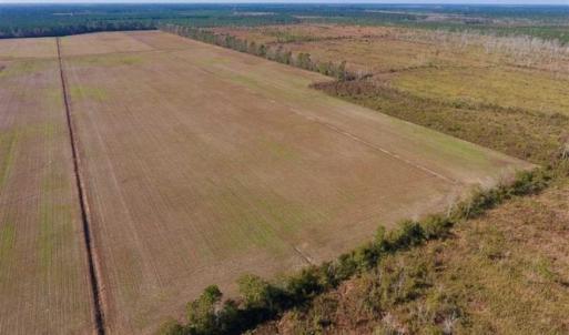 Photo of UNDER CONTRACT!!  100 Acres of Farmland, Timberland, and Hunting Land For Sale in Jones County NC!