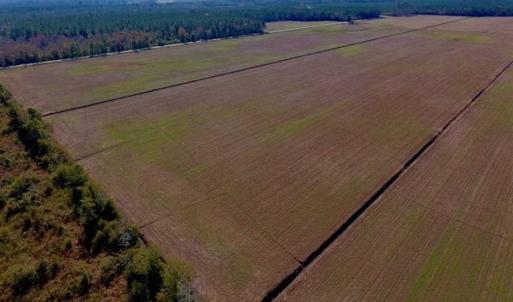 Photo of UNDER CONTRACT!!  100 Acres of Farmland, Timberland, and Hunting Land For Sale in Jones County NC!