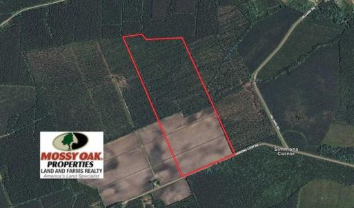 Photo of UNDER CONTRACT!!  100 Acres of Farmland, Timberland, and Hunting Land For Sale in Jones County NC!