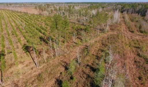 Photo of UNDER CONTRACT!!  100 Acres of Farmland, Timberland, and Hunting Land For Sale in Jones County NC!