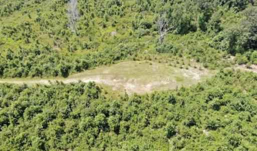 Photo of SOLD!!  94 Acres of Farm and Hunting Land For Sale in Robeson County NC!