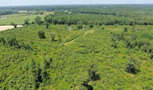 Photo of SOLD!!  94 Acres of Farm and Hunting Land For Sale in Robeson County NC!