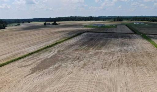 Photo of SOLD!!  94 Acres of Farm and Hunting Land For Sale in Robeson County NC!