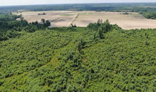 Photo of SOLD!!  94 Acres of Farm and Hunting Land For Sale in Robeson County NC!