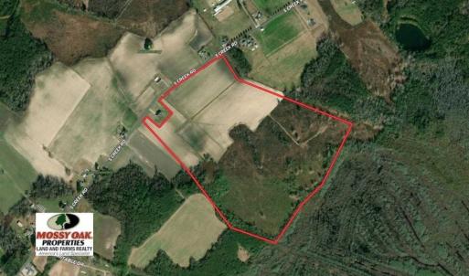Photo of SOLD!!  94 Acres of Farm and Hunting Land For Sale in Robeson County NC!