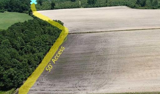 Photo of SOLD!!  125 Acres of Duck Hunting Land and Cabin Site For Sale in Robeson County NC!