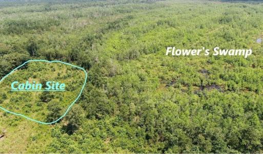 Photo of SOLD!!  125 Acres of Duck Hunting Land and Cabin Site For Sale in Robeson County NC!