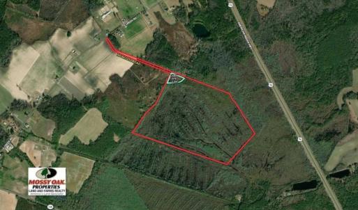 Photo of SOLD!!  125 Acres of Duck Hunting Land and Cabin Site For Sale in Robeson County NC!
