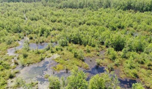 Photo of SOLD!!  125 Acres of Duck Hunting Land and Cabin Site For Sale in Robeson County NC!