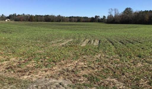 Photo of 24 acres of Farm Land for Sale in Robeson County NC!