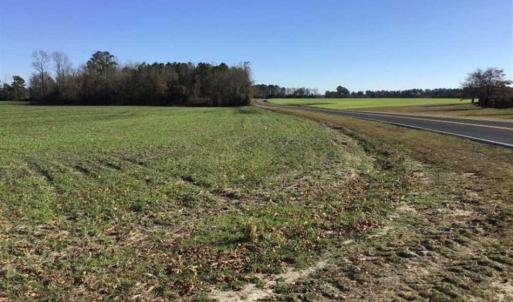 Photo of 24 acres of Farm Land for Sale in Robeson County NC!