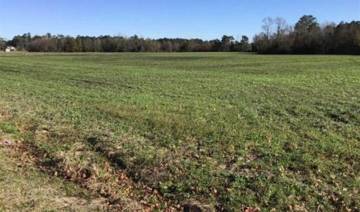 Photo of 24 acres of Farm Land for Sale in Robeson County NC!