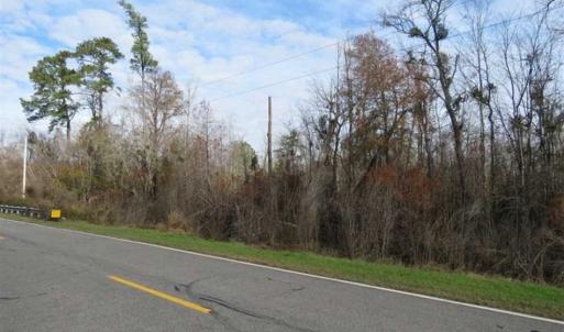 Photo of UNDER CONTRACT!!  50 Acres of Hunting Land For Sale in Robeson County NC!