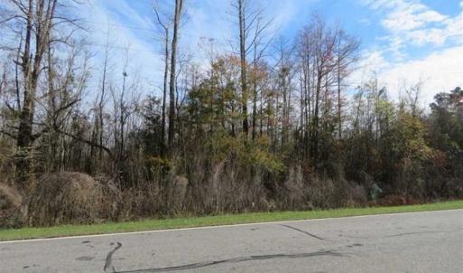 Photo of UNDER CONTRACT!!  50 Acres of Hunting Land For Sale in Robeson County NC!