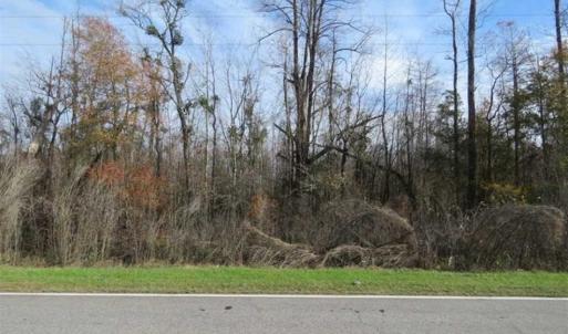 Photo of UNDER CONTRACT!!  50 Acres of Hunting Land For Sale in Robeson County NC!
