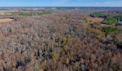 Photo of 36.4 Acres of River Front Hunting and Timber Land For Sale in Craven County NC!