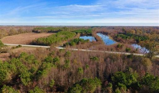 Photo of 36.4 Acres of River Front Hunting and Timber Land For Sale in Craven County NC!