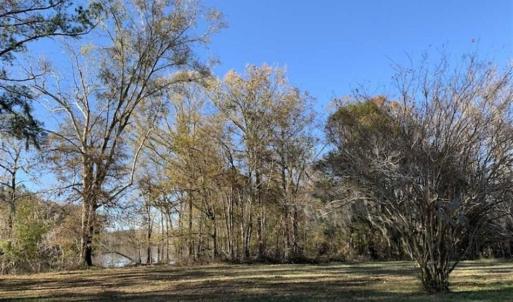 Photo of 36.4 Acres of River Front Hunting and Timber Land For Sale in Craven County NC!
