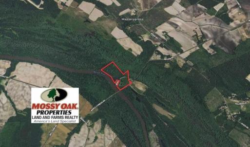 Photo of 36.4 Acres of River Front Hunting and Timber Land For Sale in Craven County NC!