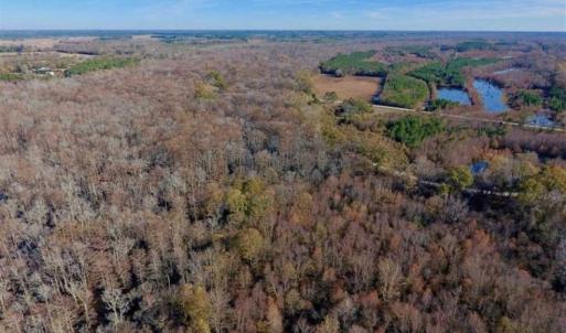 Photo of 36.4 Acres of River Front Hunting and Timber Land For Sale in Craven County NC!