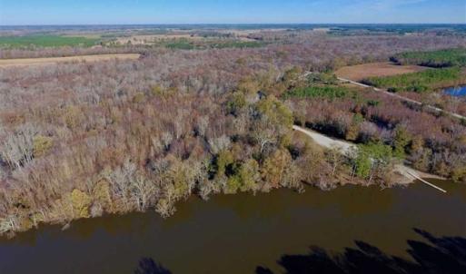 Photo of 36.4 Acres of River Front Hunting and Timber Land For Sale in Craven County NC!