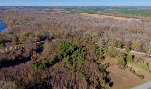 Photo of 36.4 Acres of River Front Hunting and Timber Land For Sale in Craven County NC!