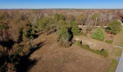 Photo of 36.4 Acres of River Front Hunting and Timber Land For Sale in Craven County NC!