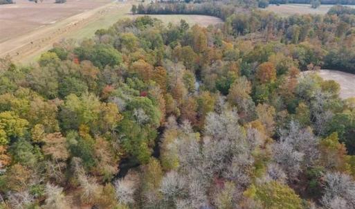 Photo of 34.4 Acres of Hunting and Farm Land For Sale in Craven County NC!