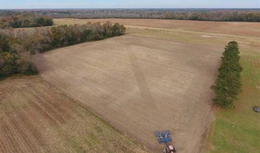 Photo of 34.4 Acres of Hunting and Farm Land For Sale in Craven County NC!