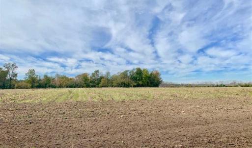 Photo of 34.4 Acres of Hunting and Farm Land For Sale in Craven County NC!