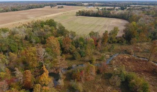 Photo of 34.4 Acres of Hunting and Farm Land For Sale in Craven County NC!