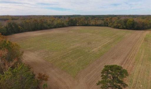 Photo of 34.4 Acres of Hunting and Farm Land For Sale in Craven County NC!