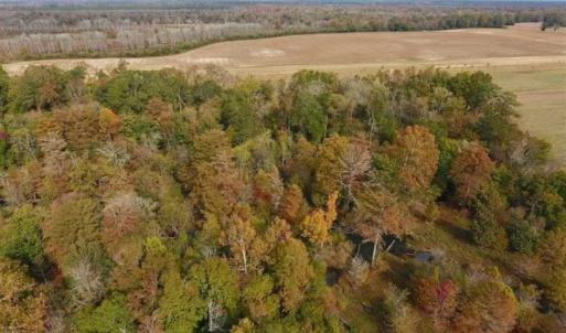 Photo of 34.4 Acres of Hunting and Farm Land For Sale in Craven County NC!