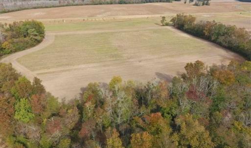 Photo of 34.4 Acres of Hunting and Farm Land For Sale in Craven County NC!