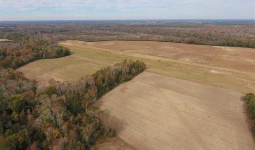 Photo of 34.4 Acres of Hunting and Farm Land For Sale in Craven County NC!