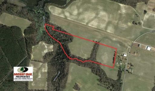 Photo of 34.4 Acres of Hunting and Farm Land For Sale in Craven County NC!