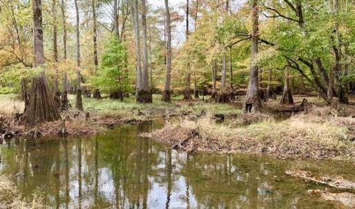 Photo of 34.4 Acres of Hunting and Farm Land For Sale in Craven County NC!