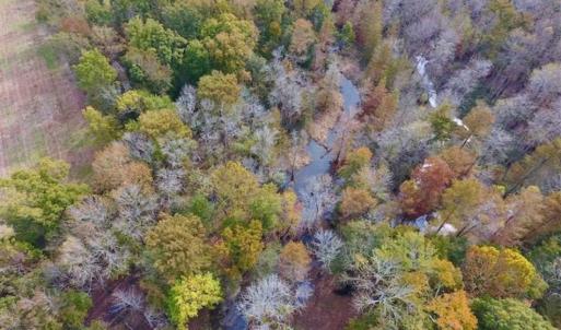 Photo of 34.4 Acres of Hunting and Farm Land For Sale in Craven County NC!