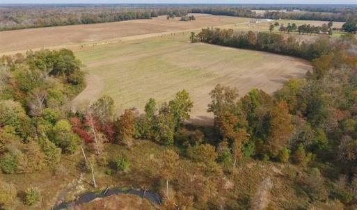 Photo of 34.4 Acres of Hunting and Farm Land For Sale in Craven County NC!