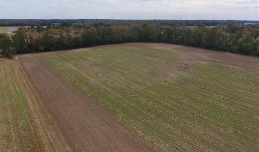 Photo of 34.4 Acres of Hunting and Farm Land For Sale in Craven County NC!