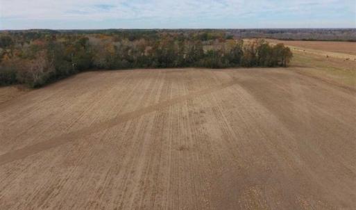 Photo of 34.4 Acres of Hunting and Farm Land For Sale in Craven County NC!